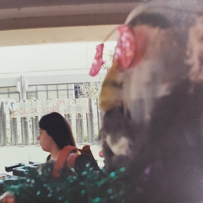 Reintegração da ocupação da Coseas